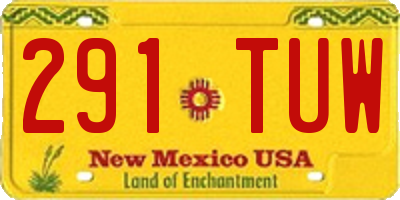NM license plate 291TUW
