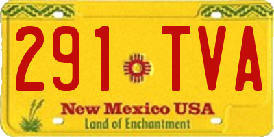 NM license plate 291TVA