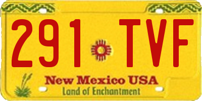 NM license plate 291TVF
