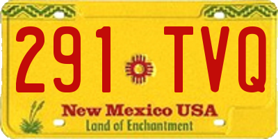 NM license plate 291TVQ