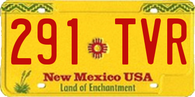 NM license plate 291TVR