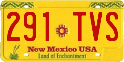NM license plate 291TVS