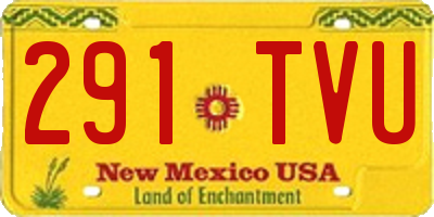 NM license plate 291TVU