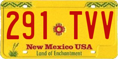 NM license plate 291TVV