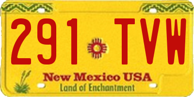 NM license plate 291TVW