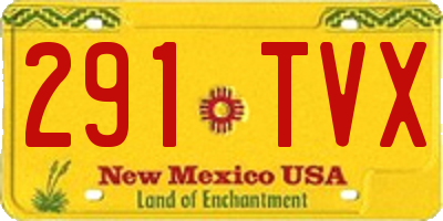 NM license plate 291TVX