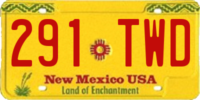 NM license plate 291TWD