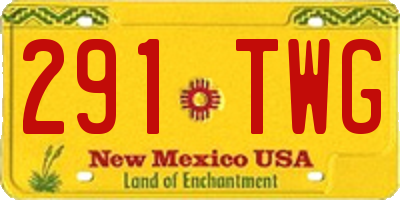 NM license plate 291TWG