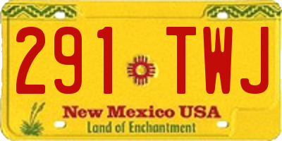 NM license plate 291TWJ