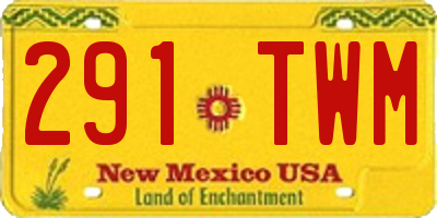 NM license plate 291TWM