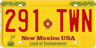 NM license plate 291TWN