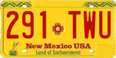 NM license plate 291TWU