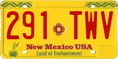 NM license plate 291TWV
