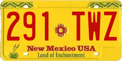 NM license plate 291TWZ