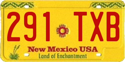 NM license plate 291TXB
