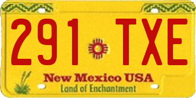NM license plate 291TXE