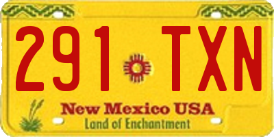 NM license plate 291TXN