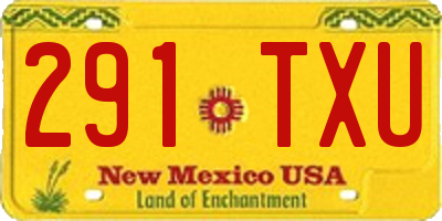 NM license plate 291TXU