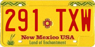 NM license plate 291TXW