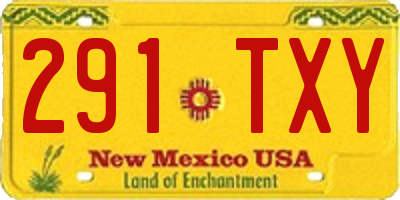 NM license plate 291TXY