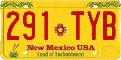NM license plate 291TYB