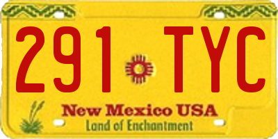 NM license plate 291TYC