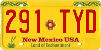 NM license plate 291TYD