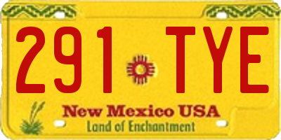 NM license plate 291TYE