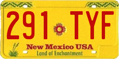 NM license plate 291TYF