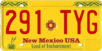 NM license plate 291TYG