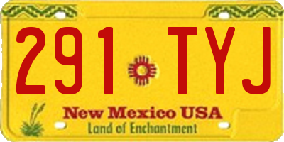NM license plate 291TYJ