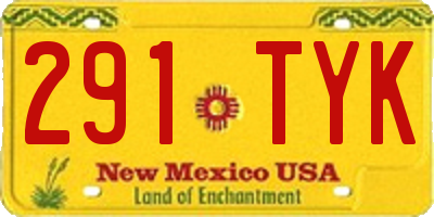 NM license plate 291TYK