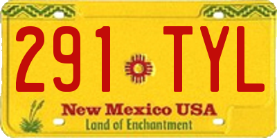NM license plate 291TYL