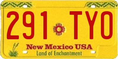 NM license plate 291TYO