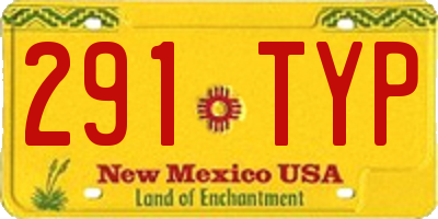 NM license plate 291TYP