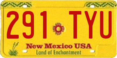 NM license plate 291TYU