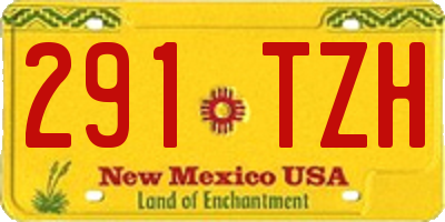 NM license plate 291TZH