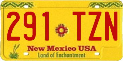 NM license plate 291TZN