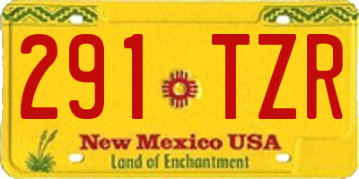 NM license plate 291TZR