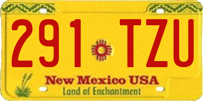 NM license plate 291TZU