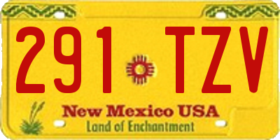 NM license plate 291TZV
