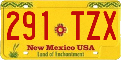 NM license plate 291TZX