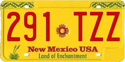 NM license plate 291TZZ