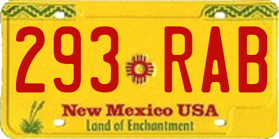 NM license plate 293RAB