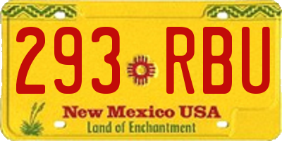 NM license plate 293RBU