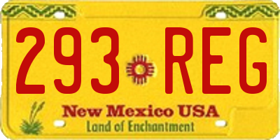 NM license plate 293REG
