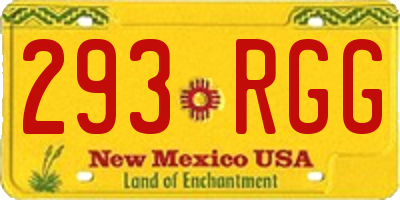 NM license plate 293RGG