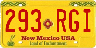 NM license plate 293RGI