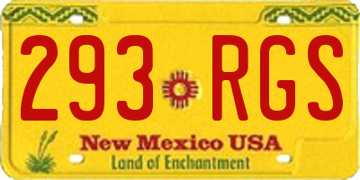 NM license plate 293RGS