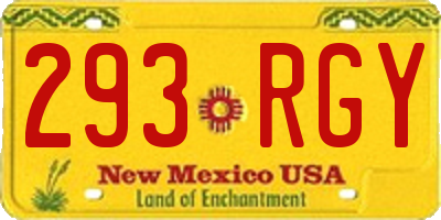 NM license plate 293RGY